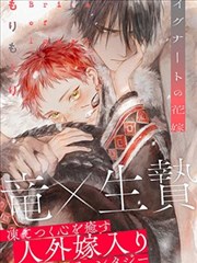 霓虹熄灭之后 封面